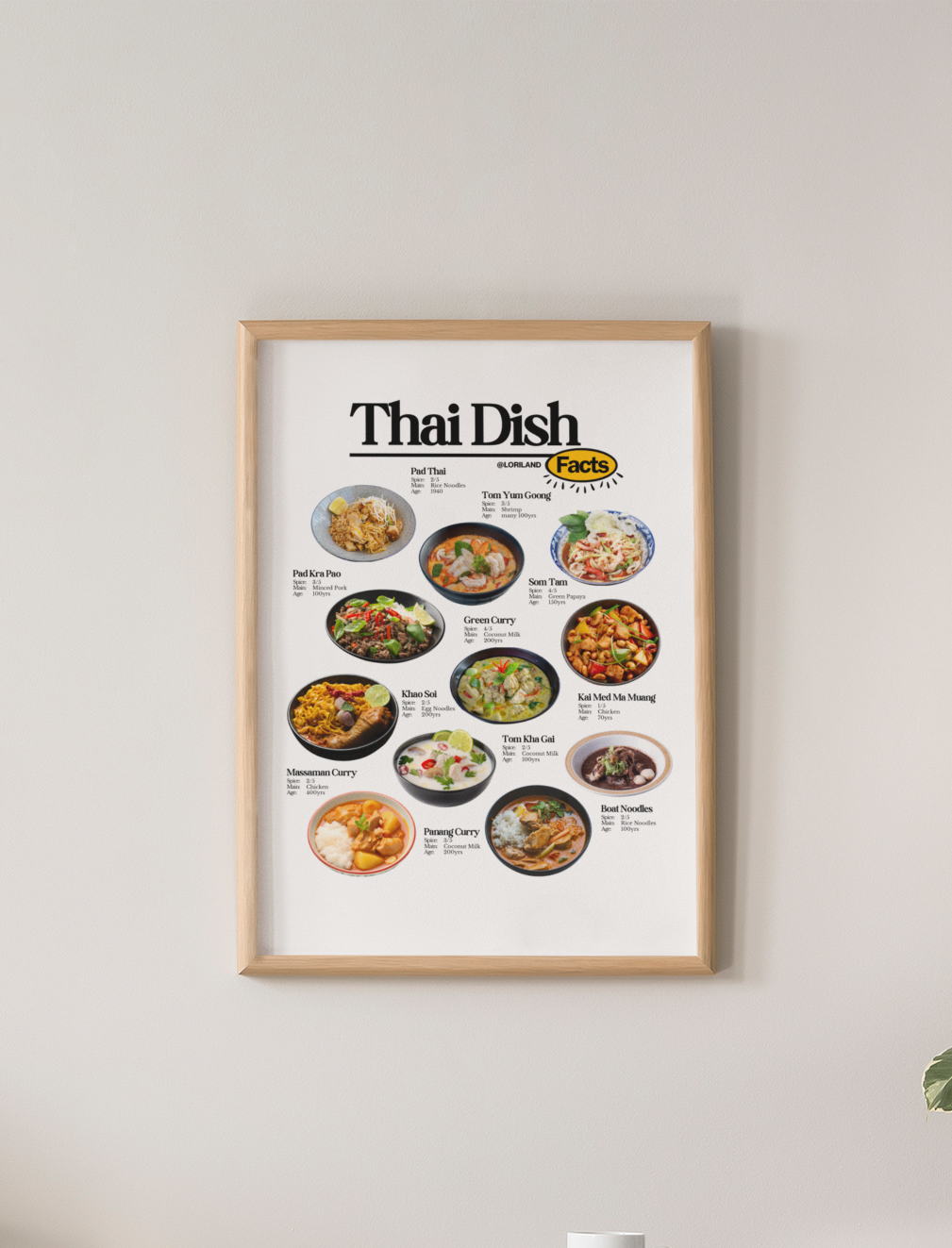 Thai Dish Facts Poster / Loriland Apparel