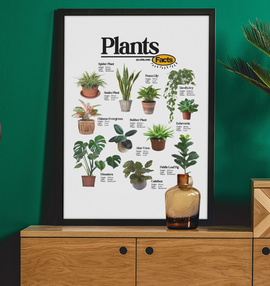 Plants Facts Poster / Loriland Apparel