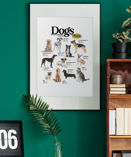Dogs Facts Poster / Loriland Apparel