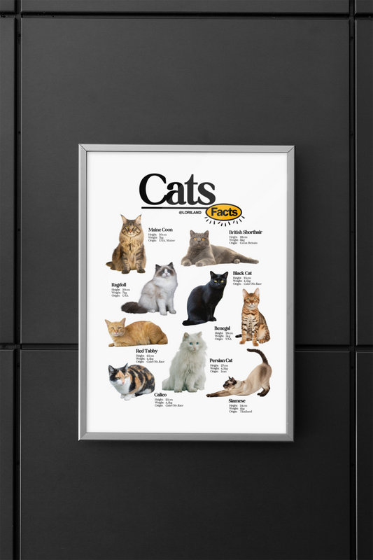 Cats Facts Poster / Loriland Apparel