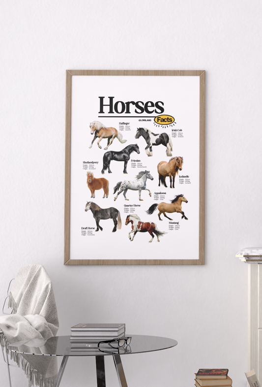 Horses Facts Poster / Loriland Apparel